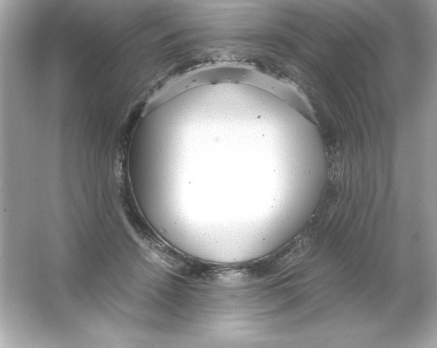 X0000065240456200603172142