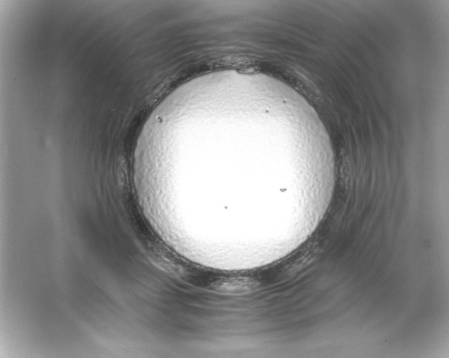 X0000065240459200603172143