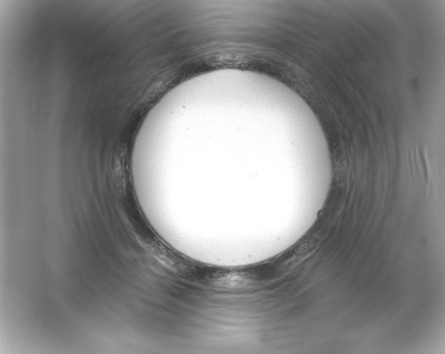 X0000065240460200603172143