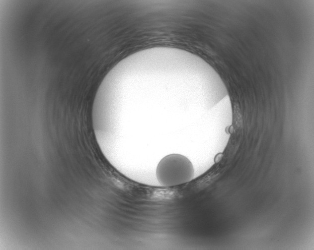 X0000065240471200603172143
