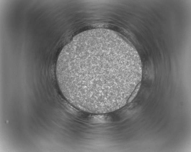 X0000065240473200603172143