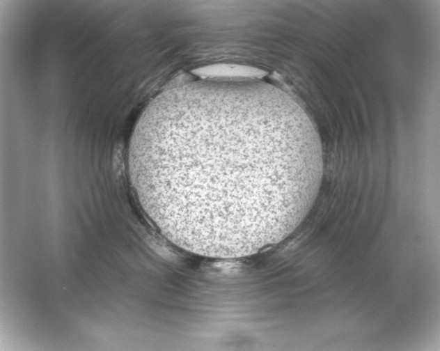 X0000065240478200603172143
