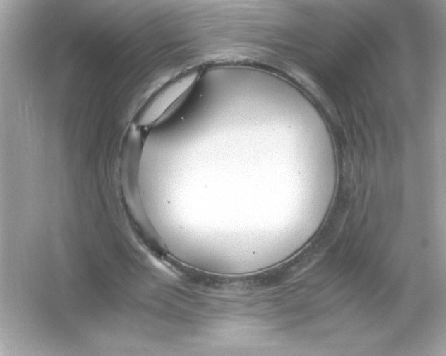 X0000065240485200603172142
