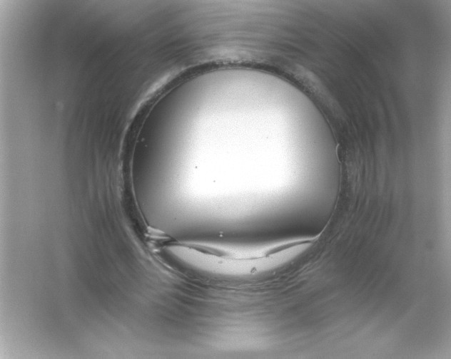 X0000065240488200603172142