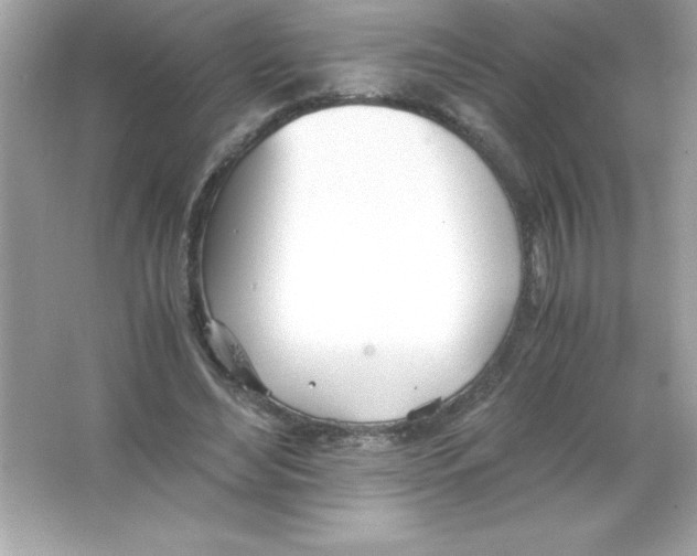 X0000065240492200603172142