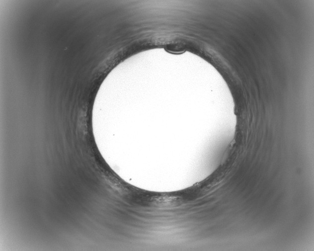 X0000065240497200603172142
