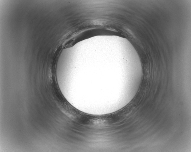 X0000065240500200603172142