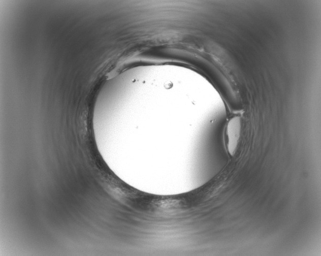 X0000065240501200603172142