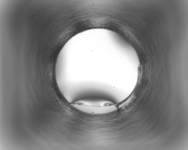 X0000065240505200603172142
