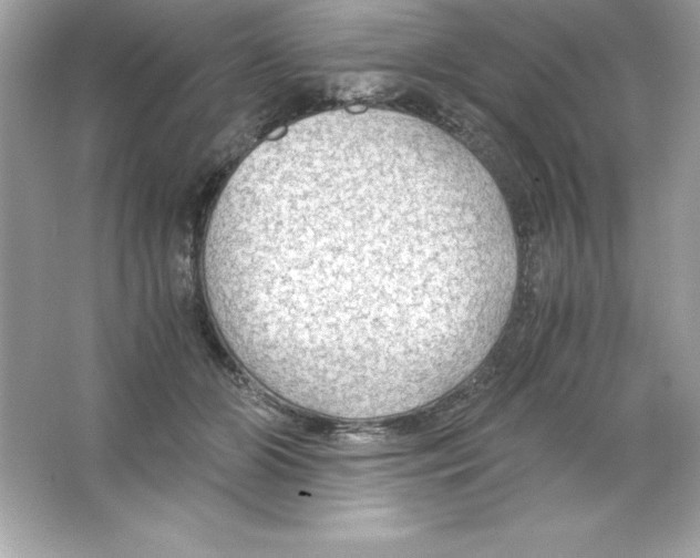 X0000065240510200603172142