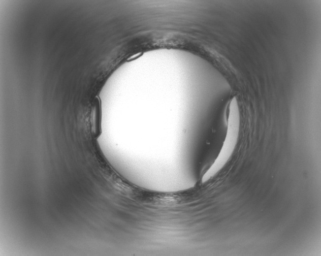 X0000065240513200603172142