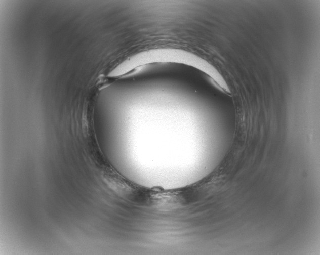 X0000065240516200603172141