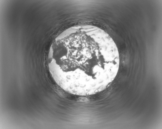 X0000065240519200603172141