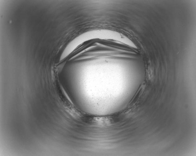 X0000065240520200603172141