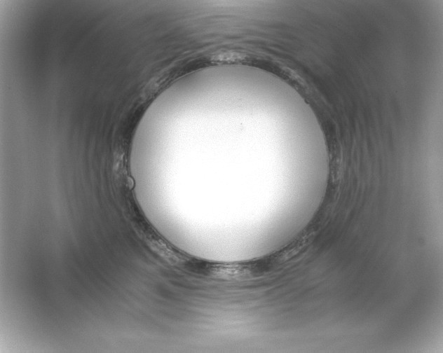 X0000065240521200603172141
