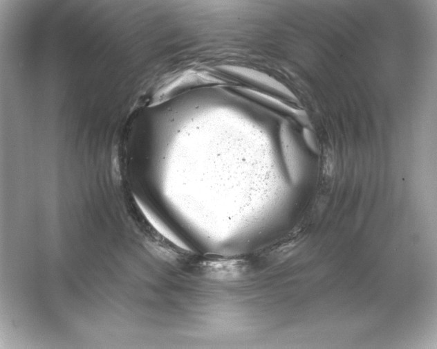 X0000065240524200603172141