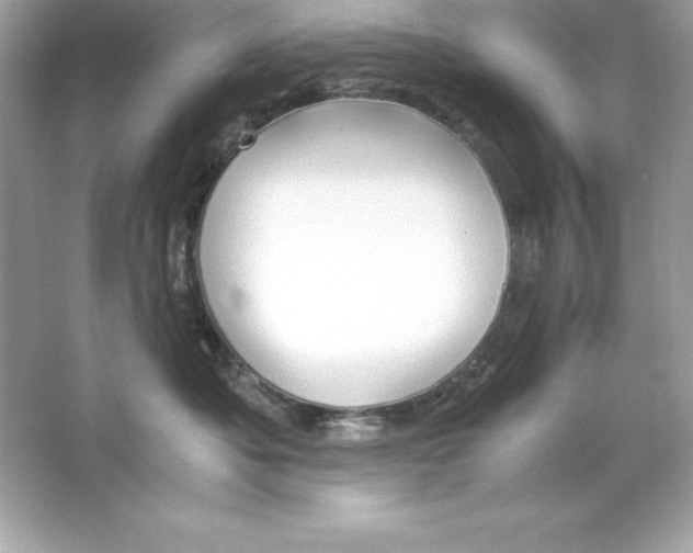 X0000065240525200603172141