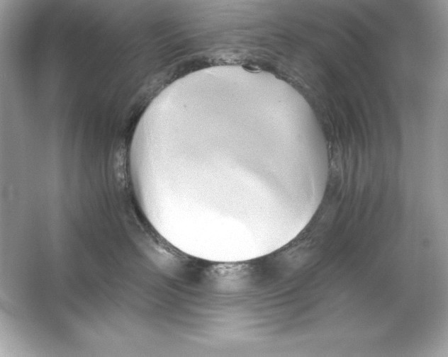 X0000065240526200603172141