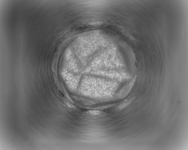 X0000065240528200603172141