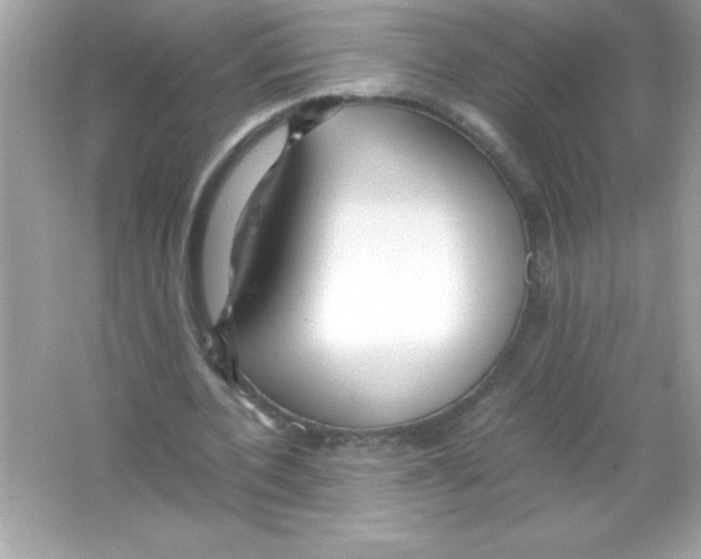 X0000065240532200603172141