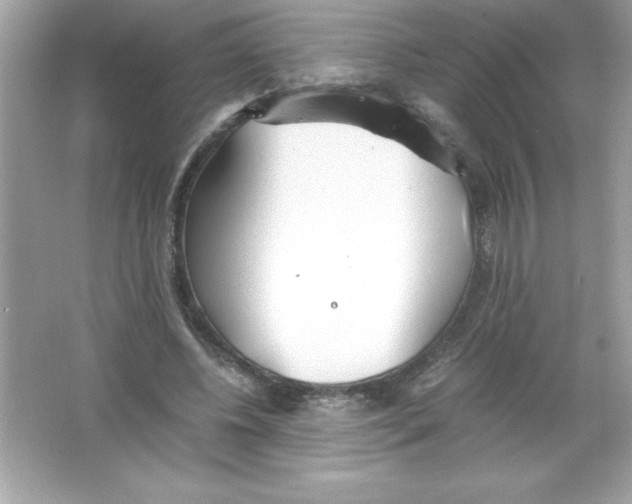 X0000065240540200603172141