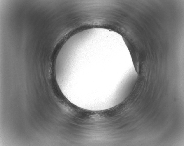 X0000065240544200603172141