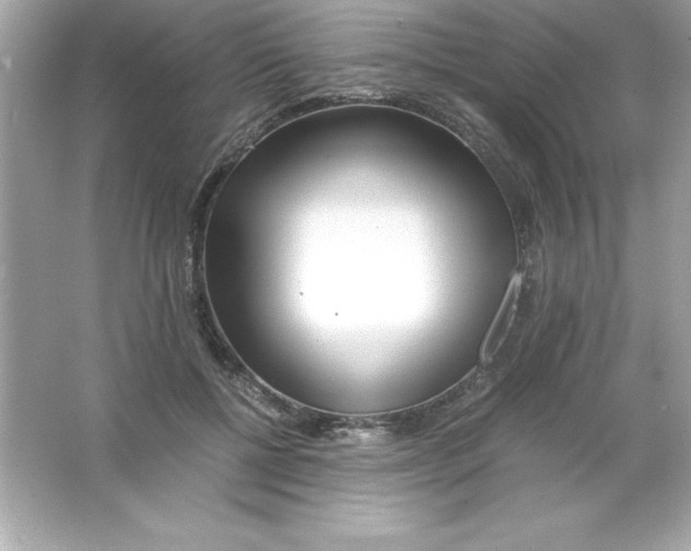 X0000065240552200603172141