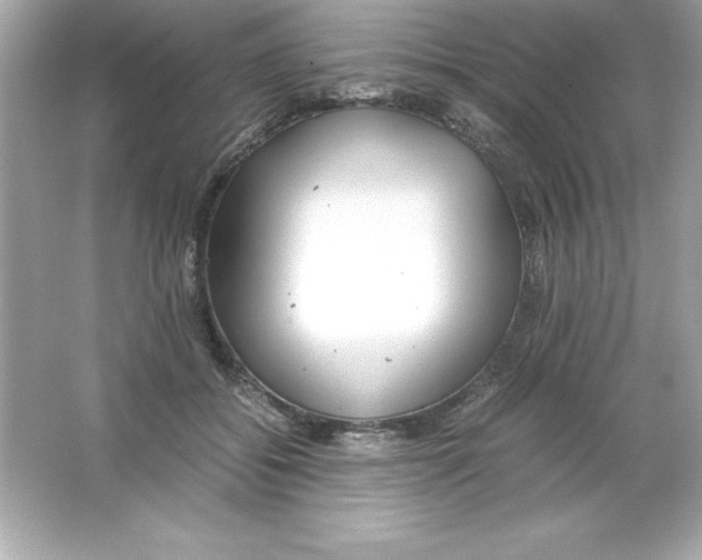 X0000065240556200603172141