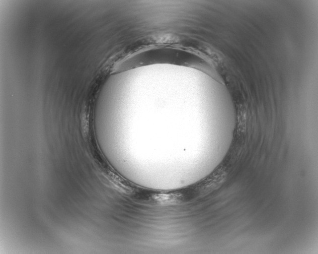 X0000065240558200603172141