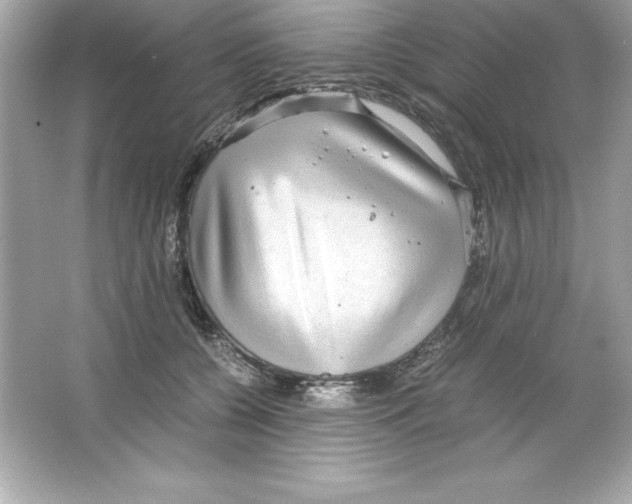 X0000065240560200603172141