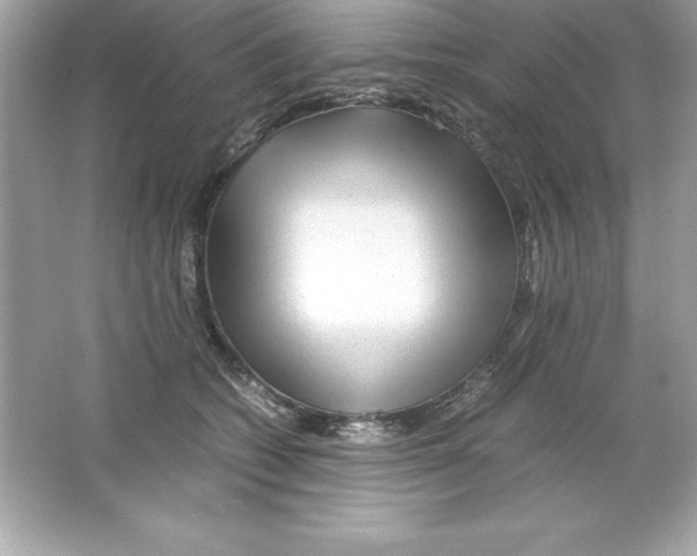 X0000065240562200603172141