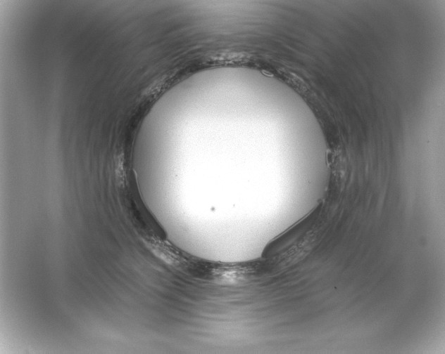 X0000065240564200603172141