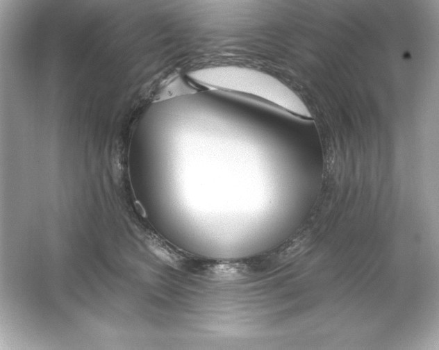 X0000065240566200603172141