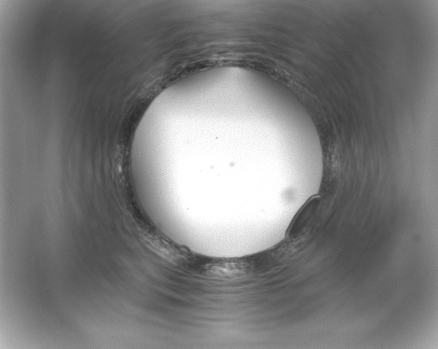 X0000065240567200603172141
