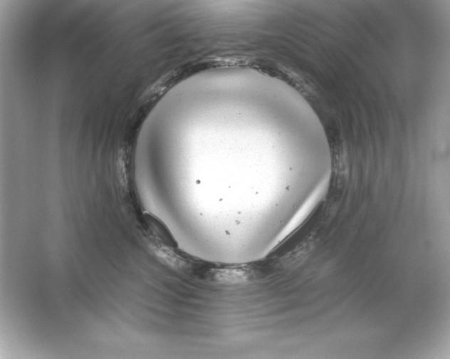 X0000065240572200603172141