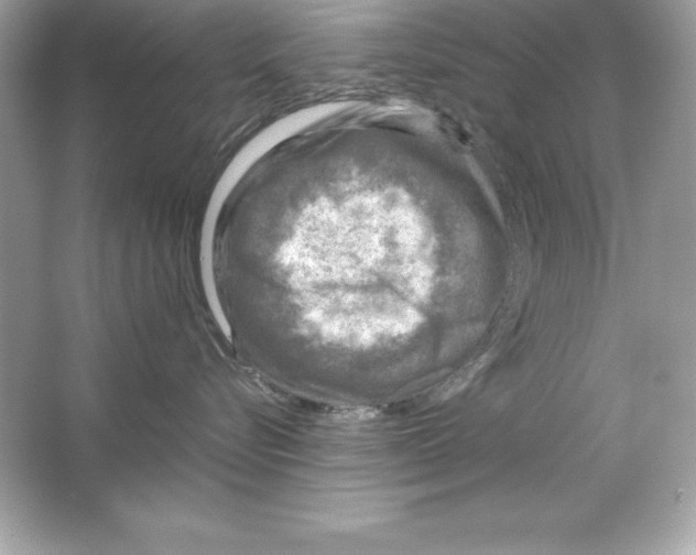 X0000065240576200603172141