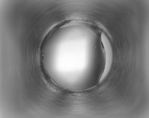 X0000065240580200603172140