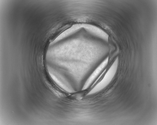 X0000065240589200603172140
