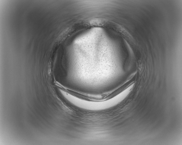 X0000065240593200603172140