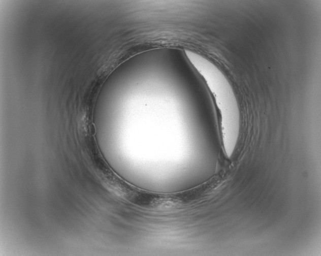 X0000065240597200603172140