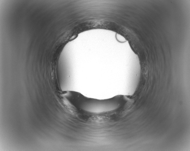X0000065240607200603172140