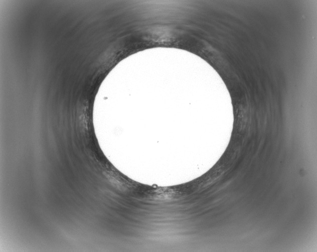 X0000065240612200603172140