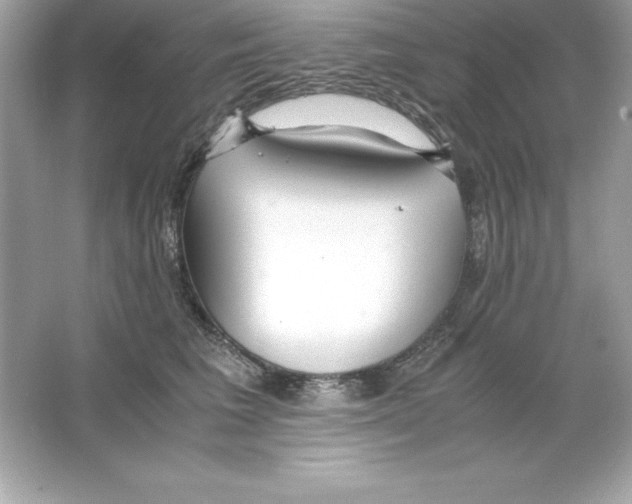 X0000065240613200603172140