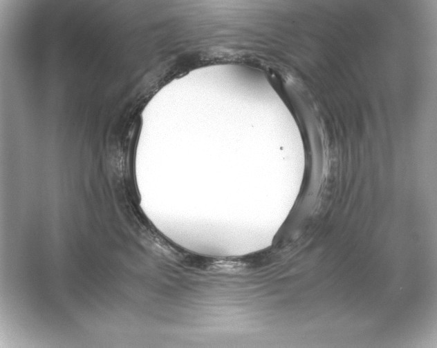 X0000065240617200603172140