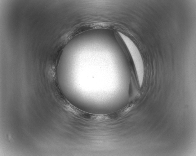 X0000065240621200603172140