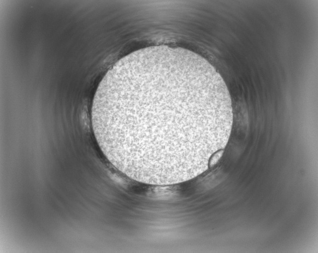 X0000065240622200603172140