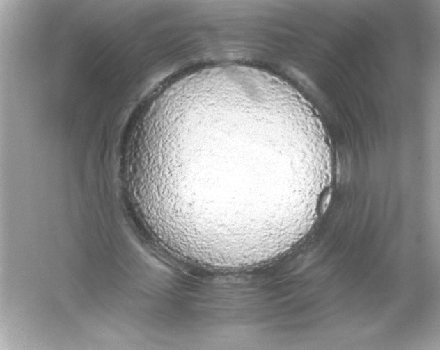 X0000065240627200603172139