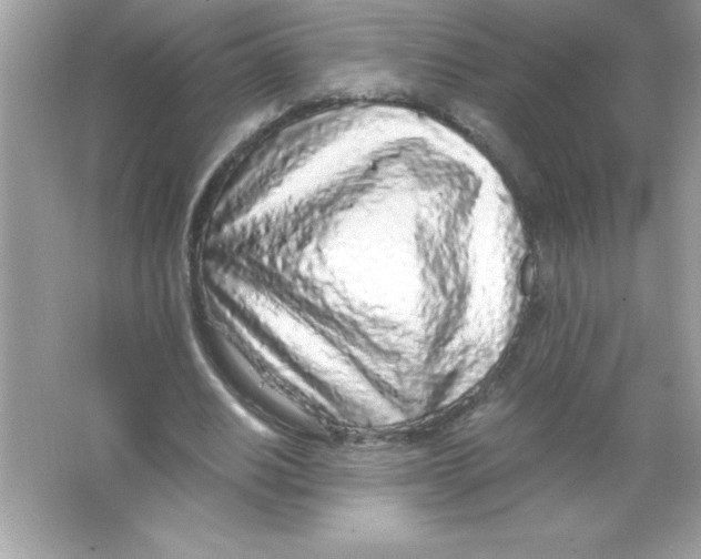 X0000065240630200603172139
