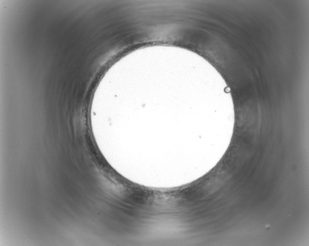 X0000065240632200603172139