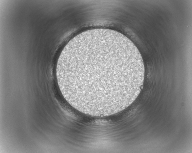 X0000065240636200603172139